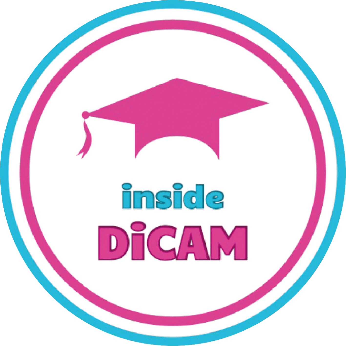 Inside Dicam